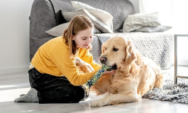 Boost Your Dog’s Mental Health: The Power of 15 Minutes of Play