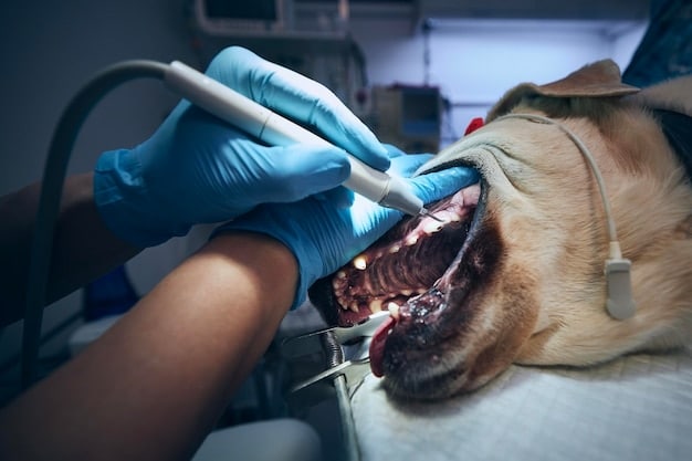 Pet Dental Health: Prevention Tips to Avoid Expensive Vet Bills