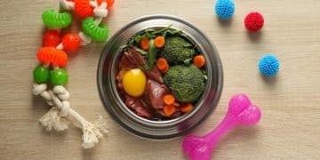 Raw Food Diets for Pets: Unveiling the Truth, Benefits & Risks - Cover Image