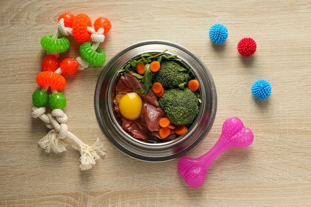 Raw Food Diets for Pets: Unveiling the Truth, Benefits & Risks