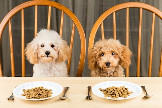 A split image showing two dogs: one with a dull, dry coat eating processed kibble, and another with a shiny, healthy coat eating a raw food diet, emphasizing the supposed difference in coat health.