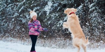 Winter Pet Safety: Tips to Protect Your Furry Friend - Cover Image