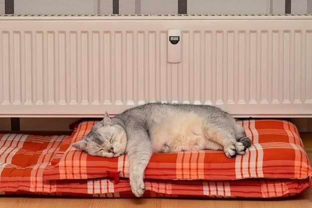 A cat sleeping comfortably in a warm, covered bed near a radiator, illustrating the importance of providing cozy indoor spaces for pets during winter.