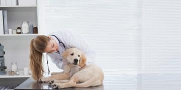 Debunking Pet Health Myths: Separating Fact from Fiction - Cover Image