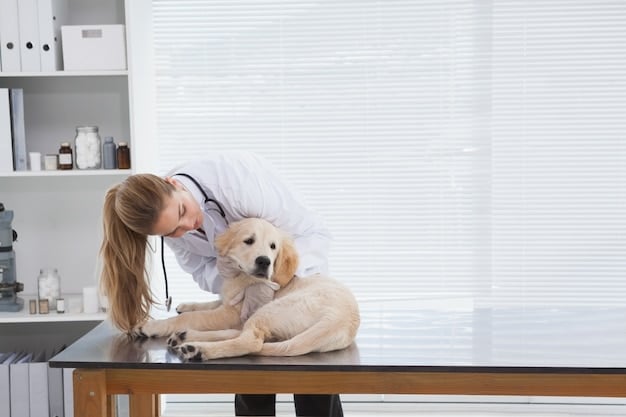 Debunking Pet Health Myths: Separating Fact from Fiction
