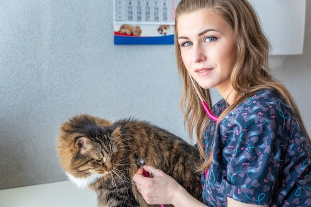 A happy cat getting a vaccination at the vet, with the vet gently holding the cat and the owner looking on reassuringly.