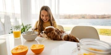 Gut Health and Pet Behavior: New Research Unveils the Link - Cover Image