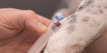 Vaccinations for Pets: Your Comprehensive Guide to Pet Health - Cover Image