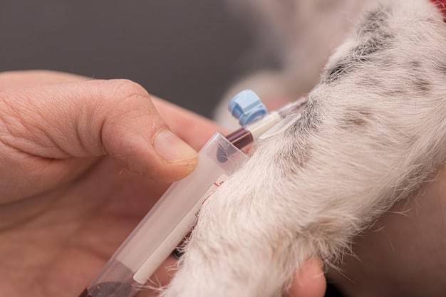 Vaccinations for Pets: Your Comprehensive Guide to Pet Health
