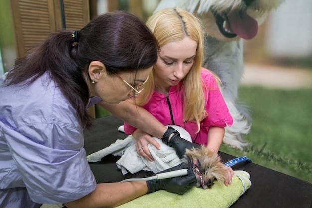 A veterinarian demonstrating the Heimlich maneuver on a dog mannequin. Participants are watching attentively in a classroom setting. The focus is on the veterinarian's hands and the correct technique.
