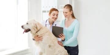How to Choose the Right Veterinarian: Finding the Best Care for Your Pet - Cover Image