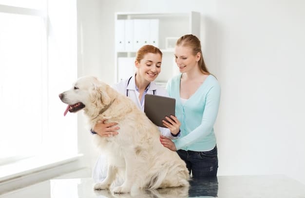 How to Choose the Right Veterinarian: Finding the Best Care for Your Pet