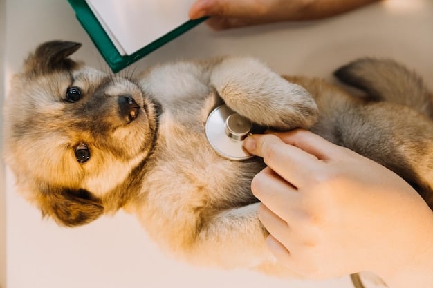 A close-up of a veterinarian's hands gently holding a puppy while another vet uses a stethoscope to listen to its heart. The puppy looks relaxed and trusting.