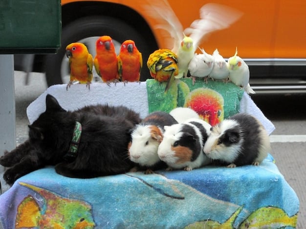 Animal Welfare Act 2025: What US Pet Owners Need to Know