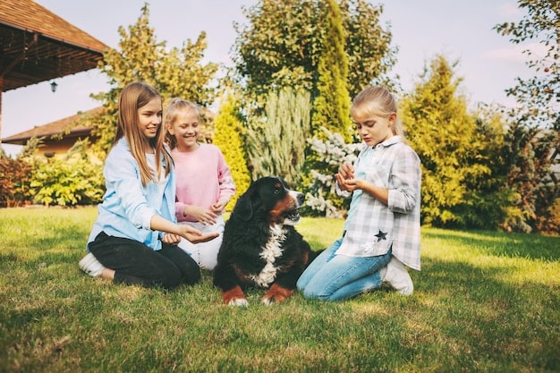 A family (parents and two children) playing with their dog in a backyard. Everyone is smiling and the dog is playfully jumping.