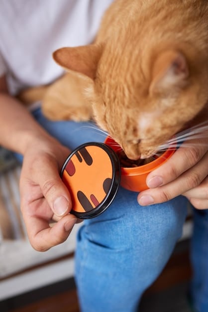 A veterinarian examining a pet food label with a magnifying glass, focusing on the nutritional adequacy statement. The vet is pointing out the AAFCO statement and explaining its significance to a concerned pet owner. The image conveys trust and expertise.