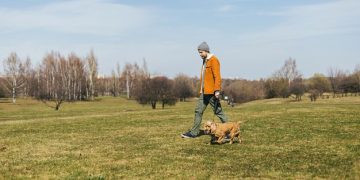 Pet Tech Revolution: Smart Gadgets Every US Owner Needs - Cover Image