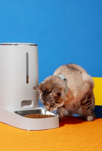 A split image showing a smartphone interface controlling an automatic pet feeder on one side, and a happy cat eating from the feeder on the other side.