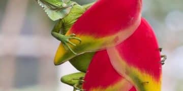 Exotic Pets in the US: Unveiling the Surprising Trends & Concerns - Cover Image