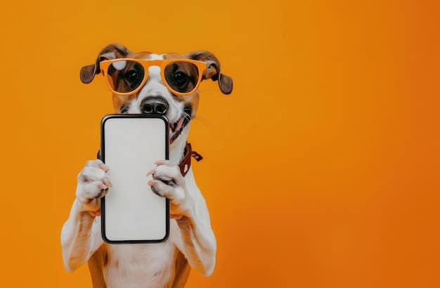 A pet wearing sunglasses is looking at a smartphone displaying a social media feed full of posts featuring pets with various names. Arrows point from the phone to a thought bubble above the pet's head, suggesting the pet is influenced by the names it sees online.