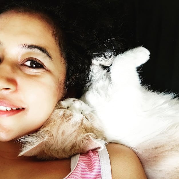A close-up shot of a cat purring contentedly while being petted by its owner. The cat's fur is soft and fluffy.