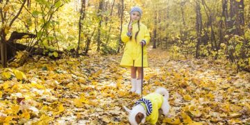 The Latest Pet Fashion Trends in the US: What's Hot and What's Not - Cover Image