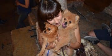 Pet Adoption Surge: Shelters Adapting to Meet 2025 Demand - Cover Image