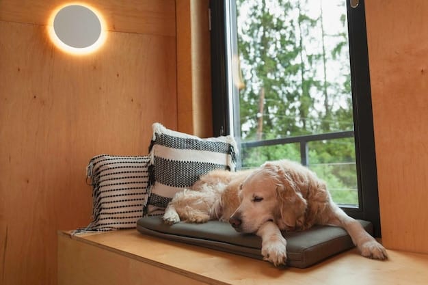 A newly renovated dog enclosure featuring a comfortable bed, toys, and a window allowing natural light. The enclosure design promotes a stress-free environment.