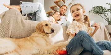 Pet Insurance Showdown: Top Providers Ranked by Customer Surveys - Cover Image
