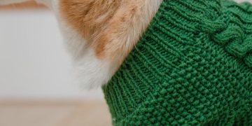 Time-Sensitive Alert: Winter Pet Health Hazards in the US - Cover Image