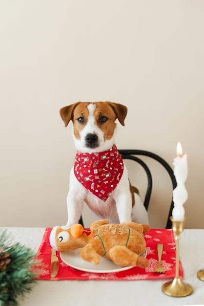A small dog looking longingly at a plate of holiday cookies on a table. The dog is wearing a festive bandana, and the cookies include chocolate, nuts and raisins.