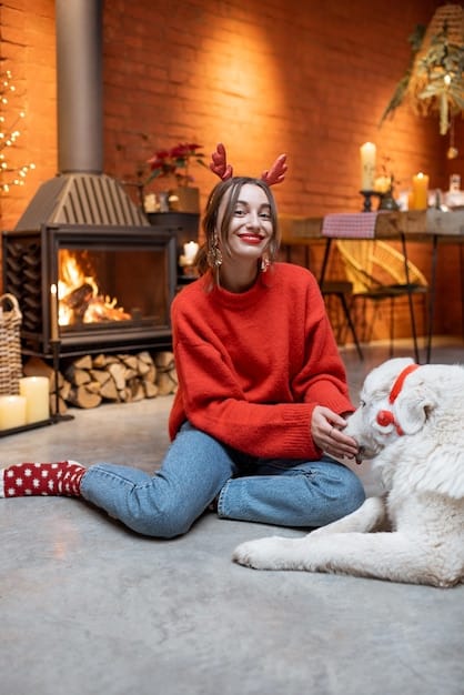 Prepare Your Pet for the Holidays: Practical Solutions & Tips