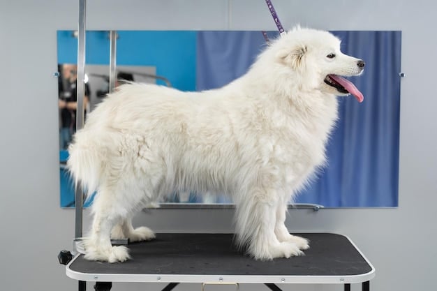 Unlock Exclusive Pet Grooming Discounts: Insider Tips