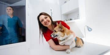 Save 15% on Vet Bills in 2025: Preventative Care Plans for Pets - Cover Image