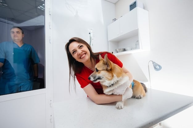 Save 15% on Vet Bills in 2025: Preventative Care Plans for Pets