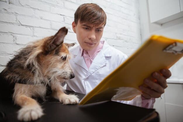 A veterinarian discussing a preventative care plan with a pet owner in a well-lit examination room. The veterinarian is holding a chart and gesturing to it, while the pet owner listens attentively, conveying a sense of collaboration and informed decision-making regarding pet health. A friendly golden retriever sits calmly beside the owner.