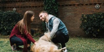 New Pet Adoption Tax Credits: US Owners Guide for 2025 - Cover Image
