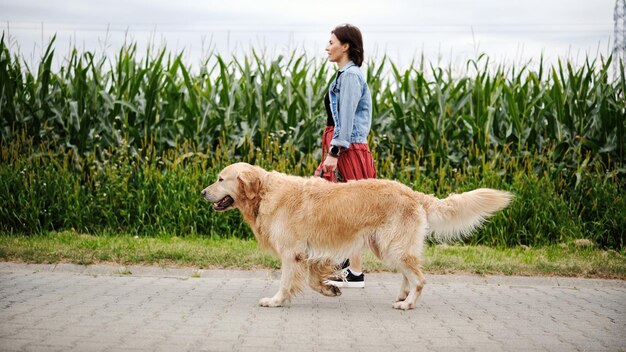 Find Affordable Dog Walking Services Near You: A Complete Guide