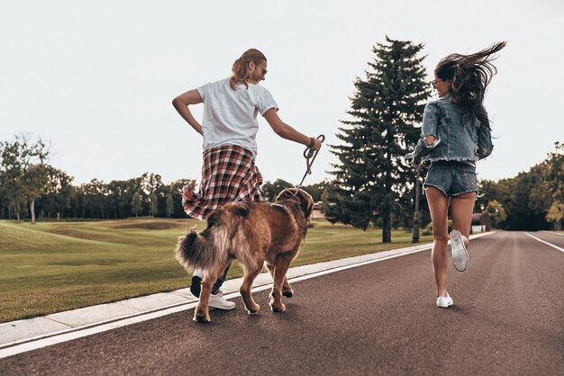 A collage of images showing various pet sitting activities, including a dog being walked on a leash, a cat being fed, a pet sitter administering medication to a dog, and a bird perched on a pet sitter's hand. Each image is bright and clear, emphasizing the different types of care required for various pets.