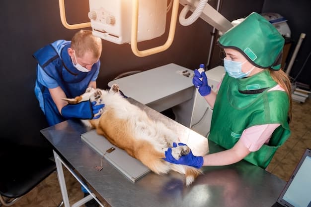 A veterinarian performing a dental cleaning on a dog, using specialized tools while the dog is under anesthesia. The scene shows a sterile and professional veterinary environment.