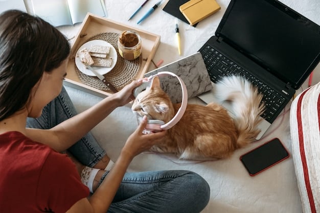 A person searching for pet dental cleaning deals on a laptop, with a happy cat sitting nearby. The scene is set in a cozy and well-lit home office.