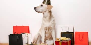Decoding Pet Store Loyalty Programs: Best Value Options - Cover Image