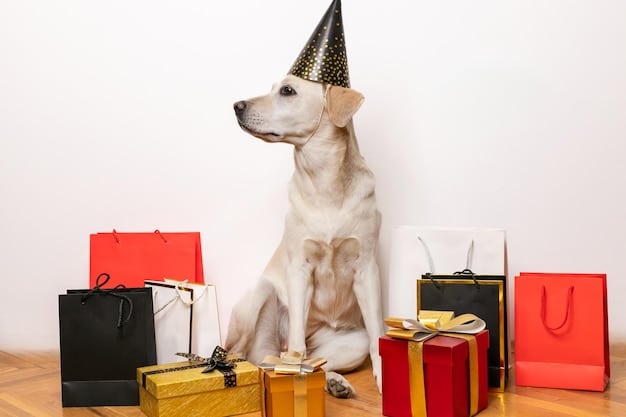 Decoding Pet Store Loyalty Programs: Best Value Options