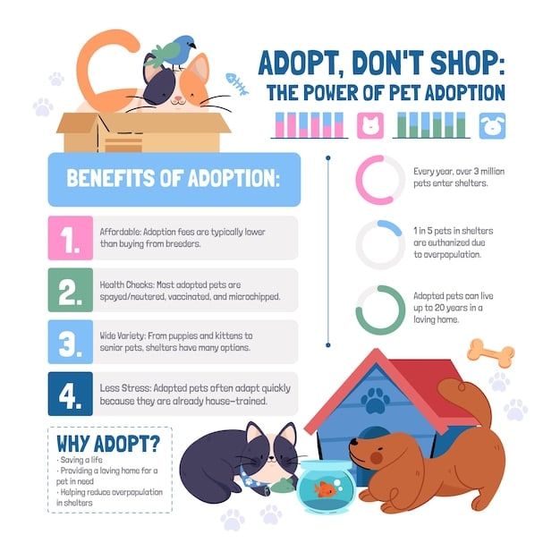 A comparison chart listing the benefits, rewards, and overall value of PetSmart Treats, Petco Pals, and a smaller local pet store's loyalty program.