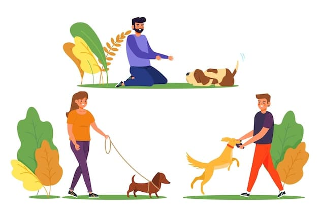 A dog playing fetch in a park, with other dogs and owners in the background, illustrating a pet-friendly activity.