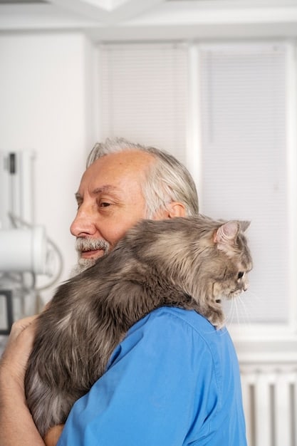 A close-up shot of a veterinarian gently examining a senior cat. The vet is wearing gloves and has a stethoscope around their neck. The cat looks relaxed and comfortable. Focus on the caring interaction between the vet and the animal.