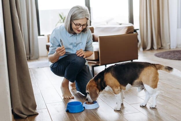 A senior woman sitting at her kitchen table, using her laptop to order pet medications online. Her senior dog is lying calmly at her feet. The scene suggests convenience and savings. Focus on the ease of use aspect of online pharmacies.