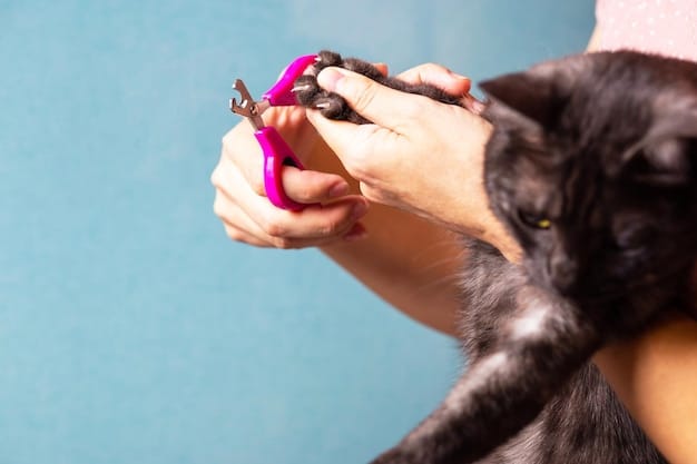 A close-up of a person carefully trimming a dog's nails with a specialized pet nail clipper. The dog is calm and cooperative, and the background is a clean, well-lit grooming area.