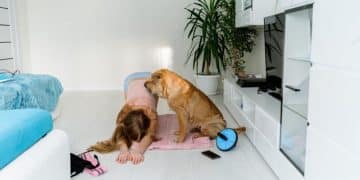 Pet Boarding on a Budget: Affordable & Safe Options - Cover Image