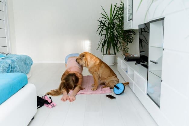 Pet Boarding on a Budget: Affordable & Safe Options
